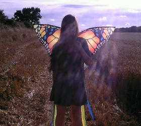 Lets go fly...a butterfly kite