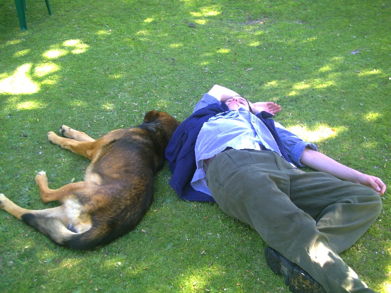 Durmiendo con el perro