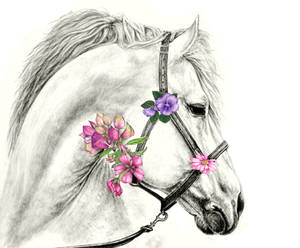 Mare with Flowers