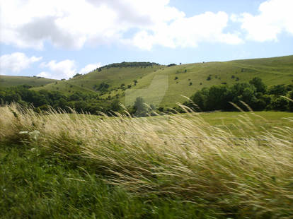 The Beauty of the South Downs