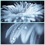 In blue by rainman65