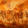 Longhorn Cattle Run