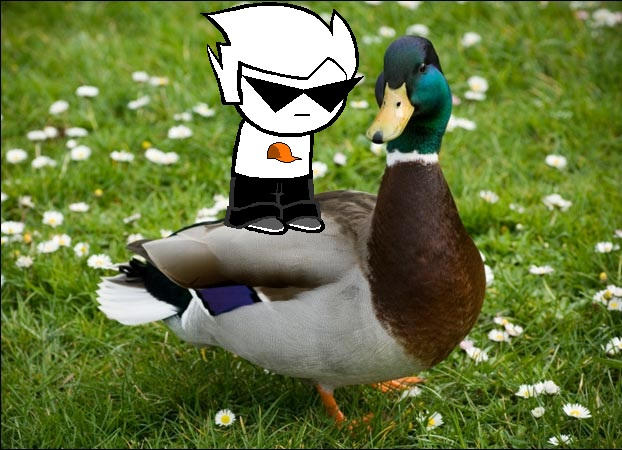 Duck Riding Deviantart RIDIN THAT DUCK by DominantReader-Chan on DeviantArt