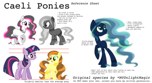 Caeli Ponies - Reference Sheet
