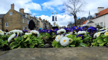 Flowers in Bishop Auckland