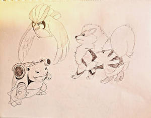 Old Pokemon Sketch