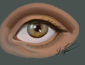 Eye practice 11/11/20