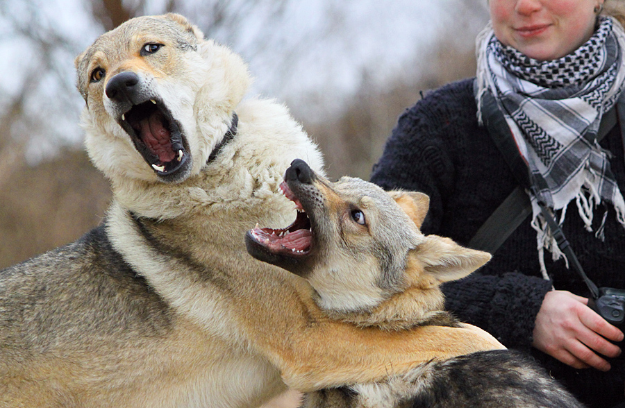 Jaw-Stretching Lesson