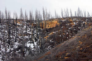 Mesa Verde Fires