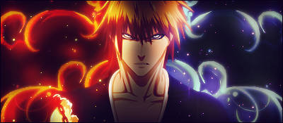 Kurosaki Ichigo - Bleach Signature