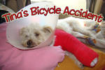 Tina's Bicycle Accident
