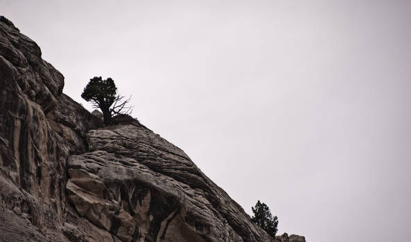 North Fork Canyon