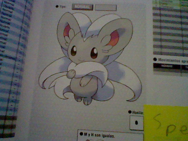 my favourite pokemon of teselia-Cinccino