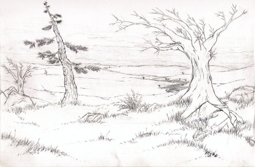 Praires Drawing Prairie by dej123452000 on DeviantArt