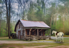 1800s Store