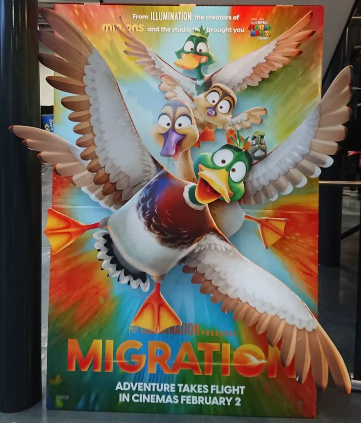 Migration UK Theater Cardboard Cutout Display by TheBizz98 on DeviantArt