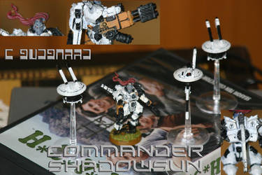 Commander Shadowsun