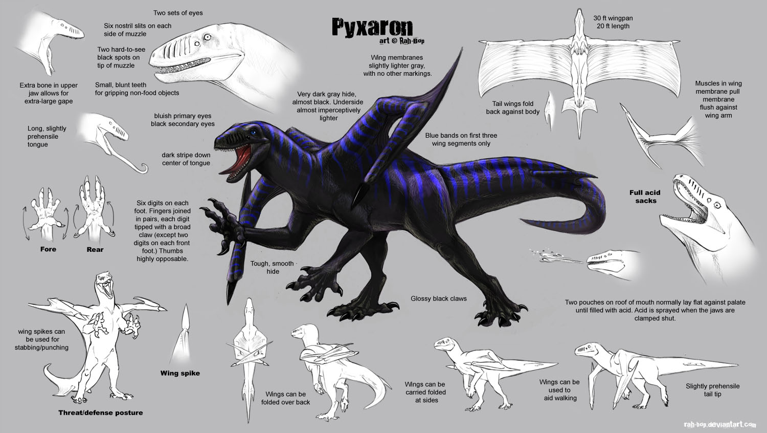 Pyxaron refsheet