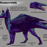 Shanrrosh refsheet