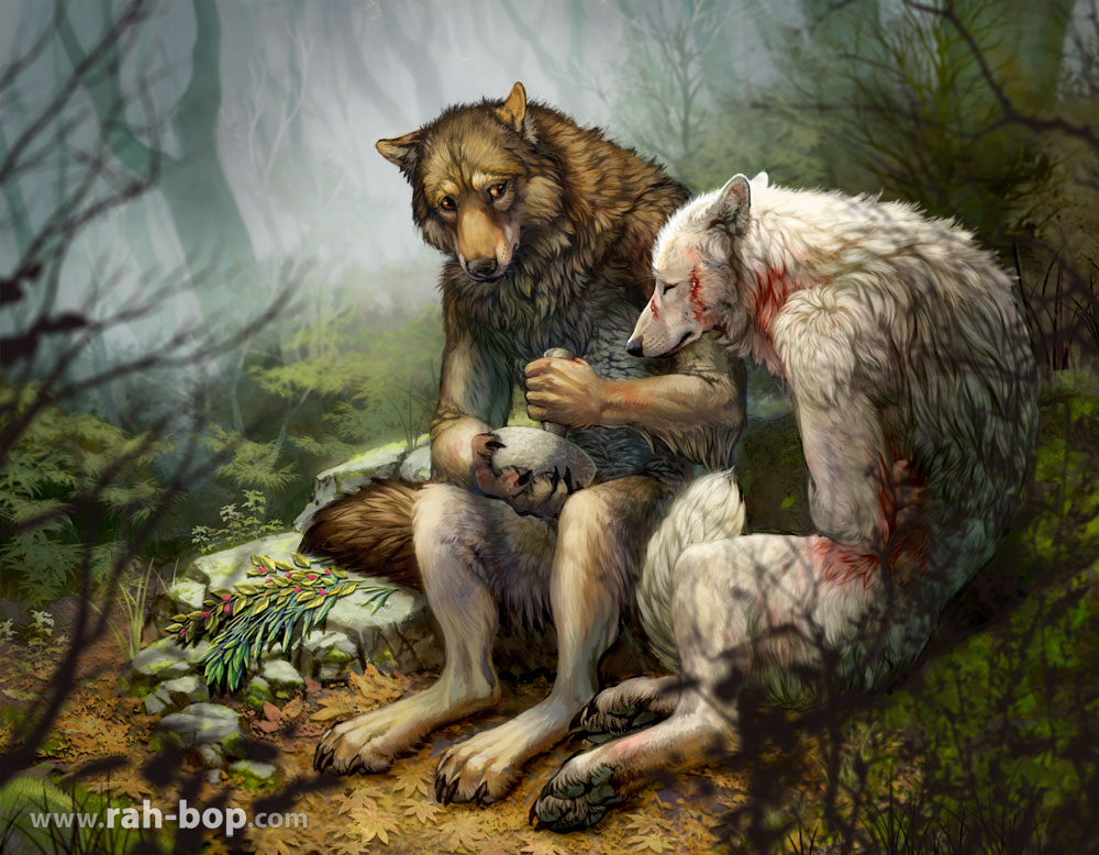 Poultices and Condolences by rah-bop
