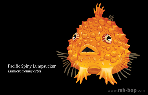 Pacific Spiny Lumpsucker