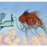 Meeting with Skyfish