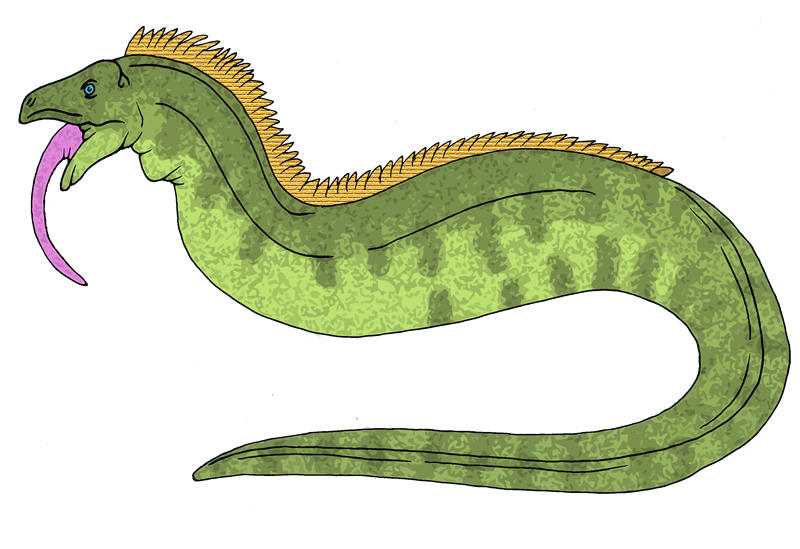 Ponchofirewalker's IguanaSnake by Boverisuchus on DeviantArt