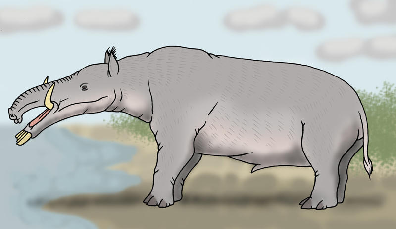 Neocene - Flattooth by Boverisuchus on DeviantArt