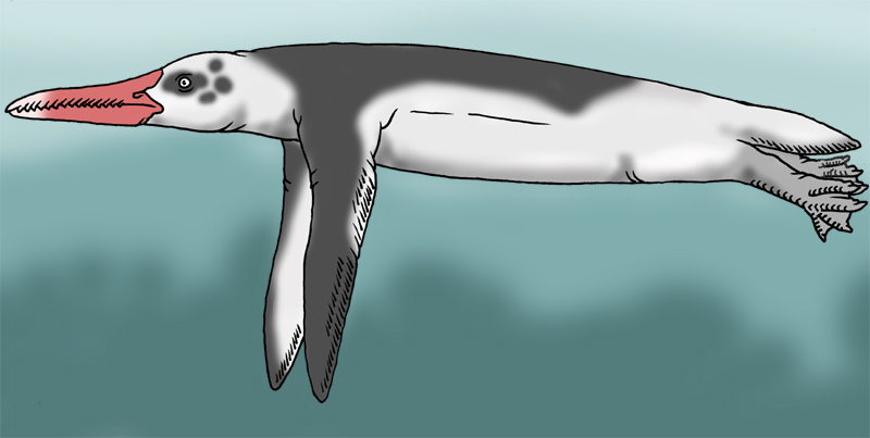 Neocense Gannetwhale