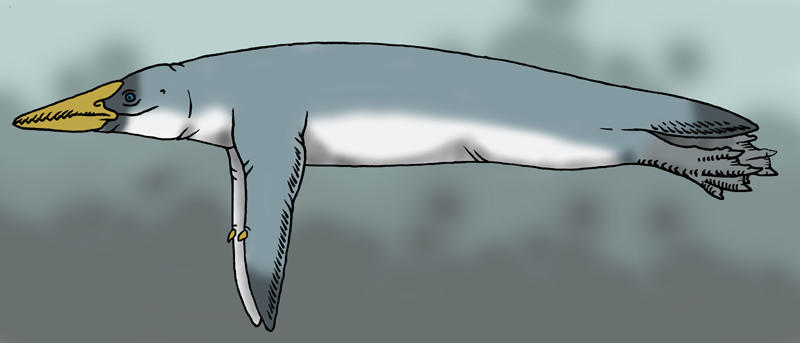 Neocene - Dwarf Gannetwhale by Boverisuchus on DeviantArt