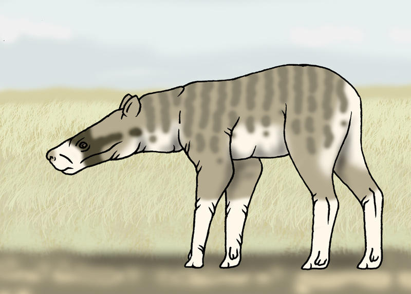 Neocene - Fast Hyracolopa by Boverisuchus on DeviantArt