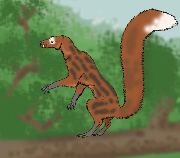 Neocene - Squirrel Mungo by Boverisuchus on DeviantArt