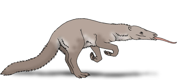 Neocene - Grumbling ant-mungo by Boverisuchus on DeviantArt