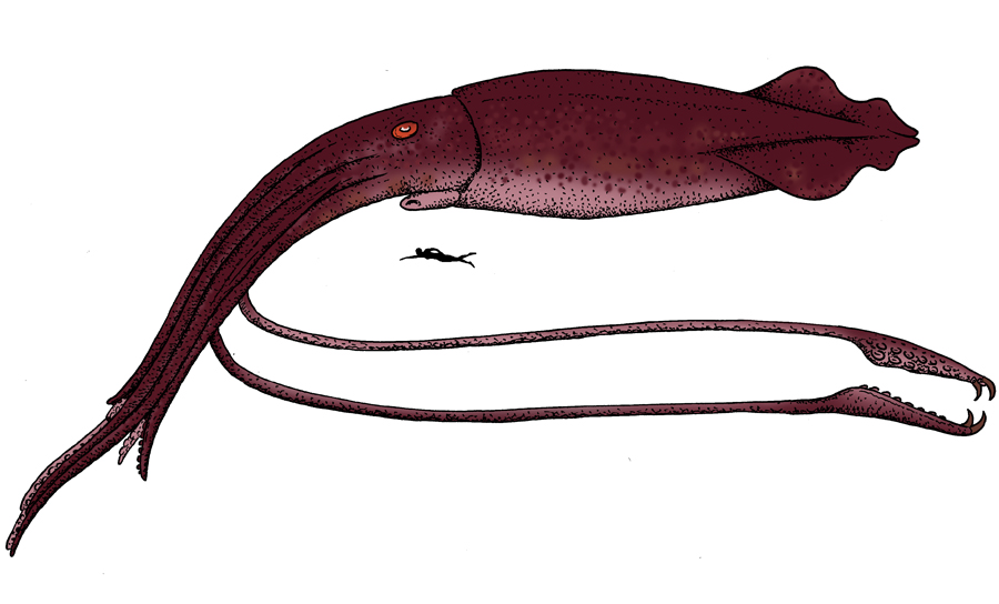 Cryptozoologicon - Super-giant squid