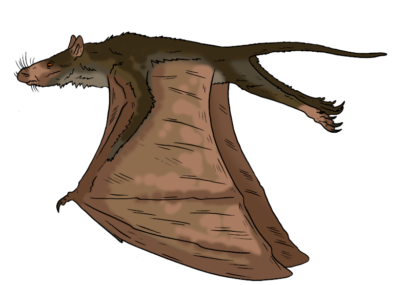Skull Island Bestiary - Giant Rat-faced Bat by Boverisuchus on DeviantArt