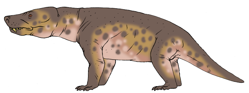 Pimp Lizard Skull Island Bestiary - Pig-lizard by Boverisuchus on DeviantArt