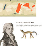Nea Contest - Strutting Gecko by Boverisuchus