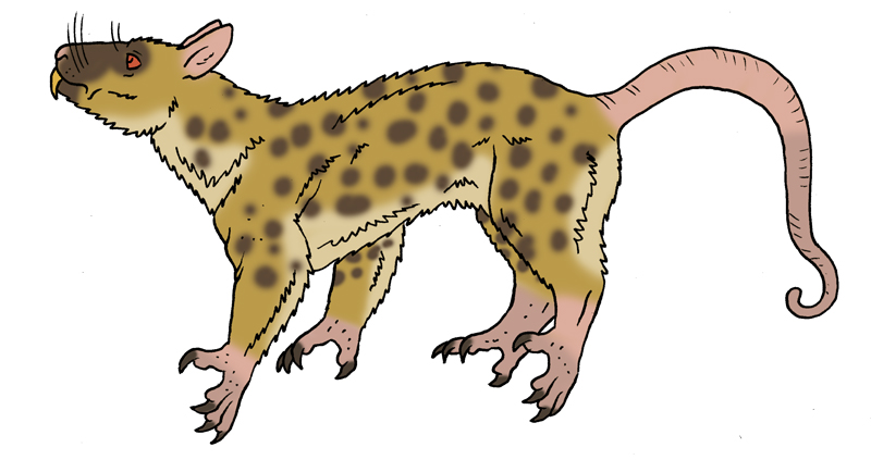 Stephen Baxter's Evolution: Rat-Leopard by Boverisuchus on DeviantArt