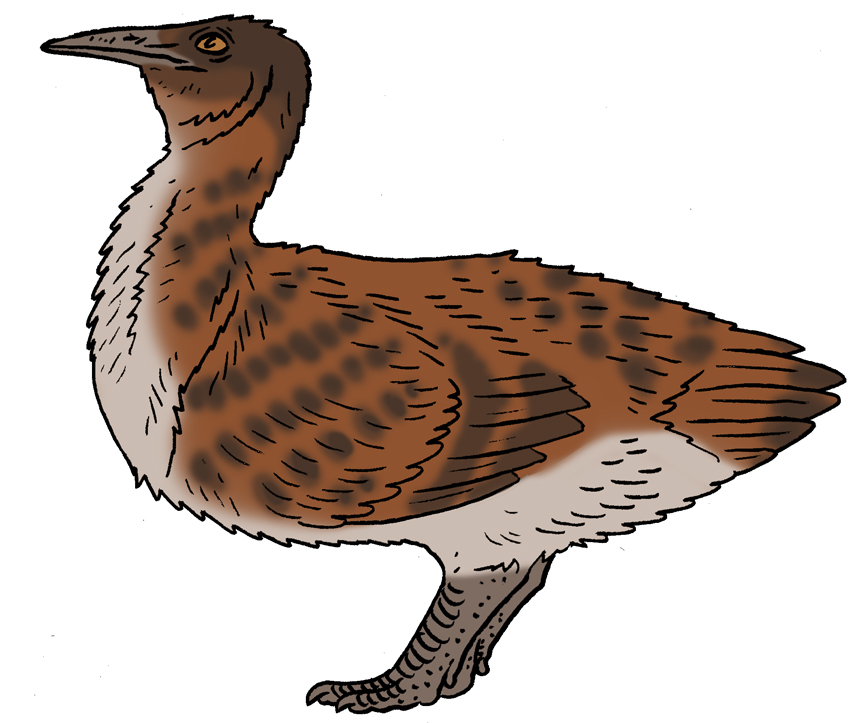 The Lost World Bestiary - Chestnut Tinamou