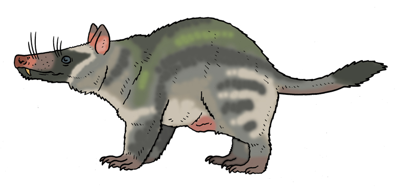 Skull Island Bestiary - Green Pseudopossum