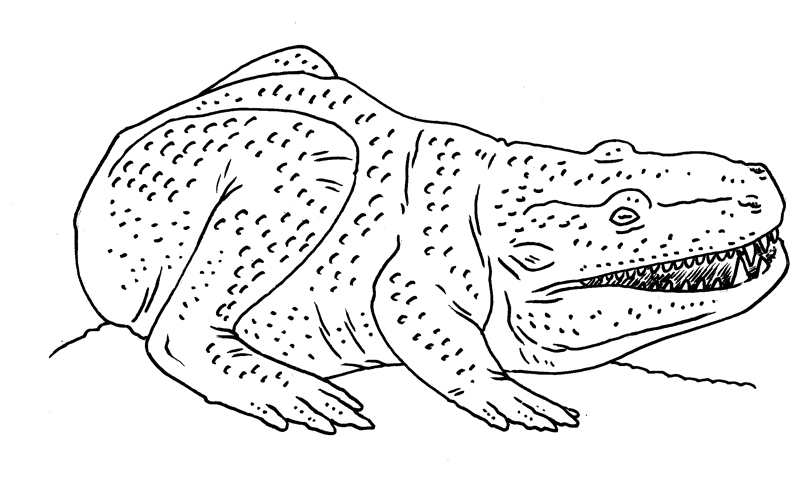 Labyrinthodon Outdated Prehistoric Monsters - Labyrinthodon by Boverisuchus on DeviantArt