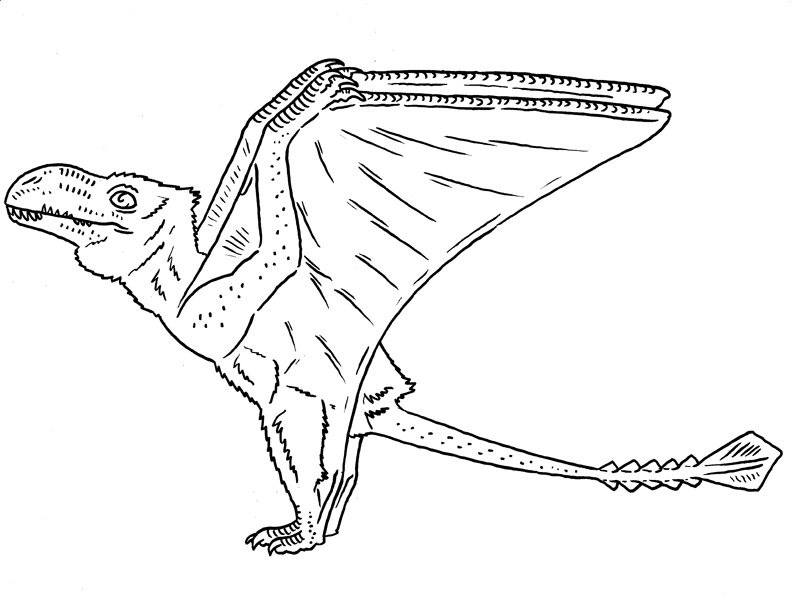 Prehistoric Monsters - Dimorphodon by Boverisuchus on DeviantArt