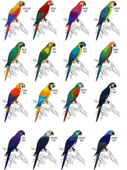 Macaws of a possible future.