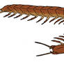 The Lost World Bestiary - White's Giant Centipede
