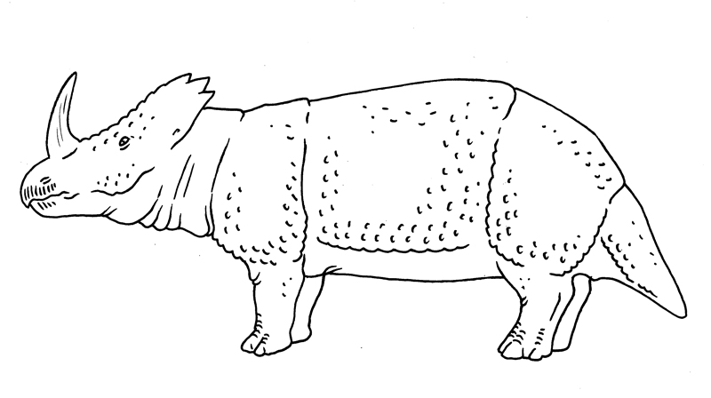 Dinosaur Rinconsaurus Drawing Childhood Redraw - Rhinosaur by Boverisuchus on DeviantArt
