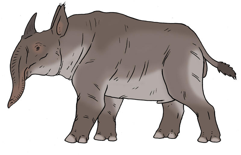Rhino Concept - Elephino by Boverisuchus on DeviantArt