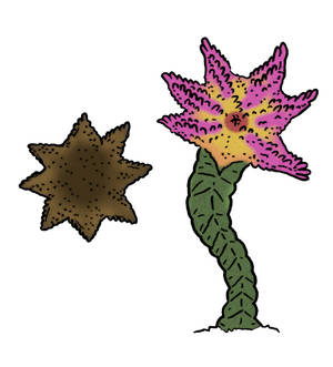 Skull Island Bestiary - Jungle Floraster