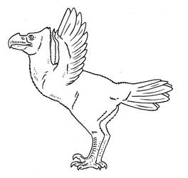 Kong Creator Fanart - Dirusornis