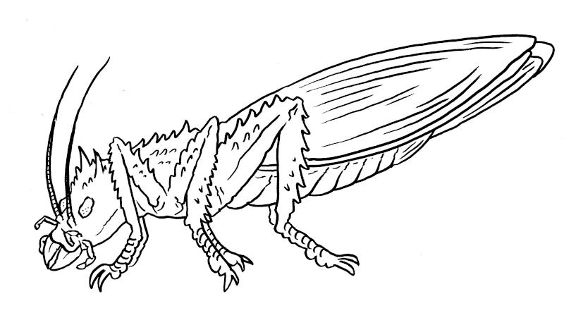 JW Fan-art Speculation - Giant Orthopteran by Boverisuchus on DeviantArt