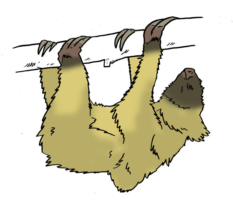 Two Toes Sloth Vector The Lost World Bestiary - Blondish Two-toed Sloth by Boverisuchus on ...